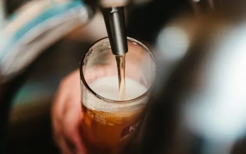 网站……挂了！