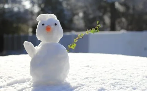 第六回 陶李肆琵琶嘈切 木兰乡帝钟清越