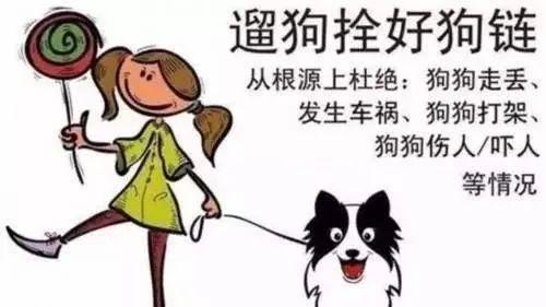 《无效口供》 第2章 记得牵绳