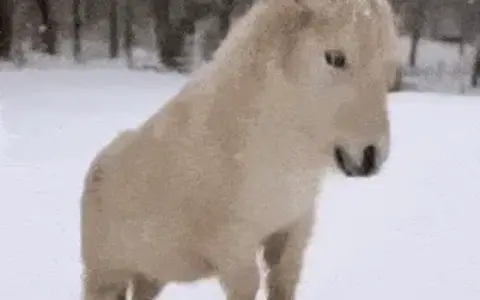 《傩师》第十二回 误食毒果结金兰 直闯魔窟触逆鳞