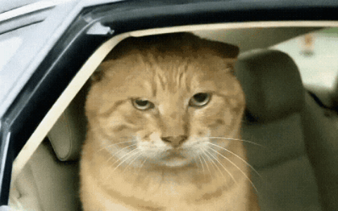 第三回 赖骰宝酒别旧敌 祁别馆宴会新朋（初稿）