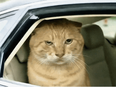 第三回 赖骰宝酒别旧敌 祁别馆宴会新朋（初稿）